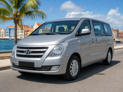 Hyundai H1 2020