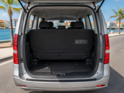Hyundai H1 2020
